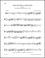 Bach: Lobe den Herrn, meine Seele, BWV 143