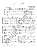 Fürstenau: Grand Trio in C Major, Op. 66, No. 1