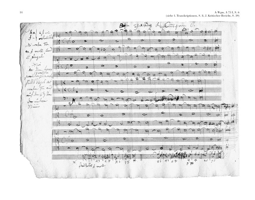 Beethoven: Composition studies at Haydn, Albrechtsberger and Salieri