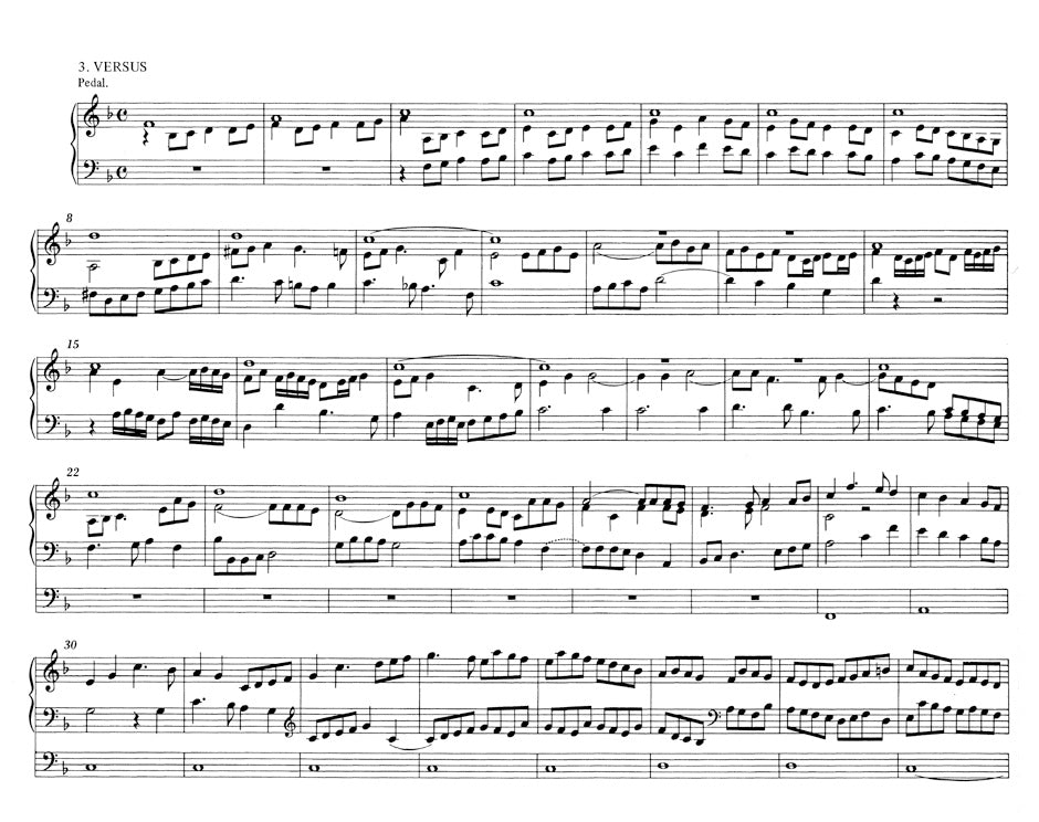 Scheidemann: Organ Works - Volume 2 (Magnificat Arrangements)