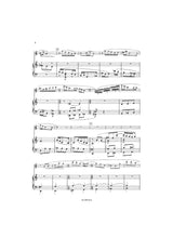 Damase: Flute Concerto