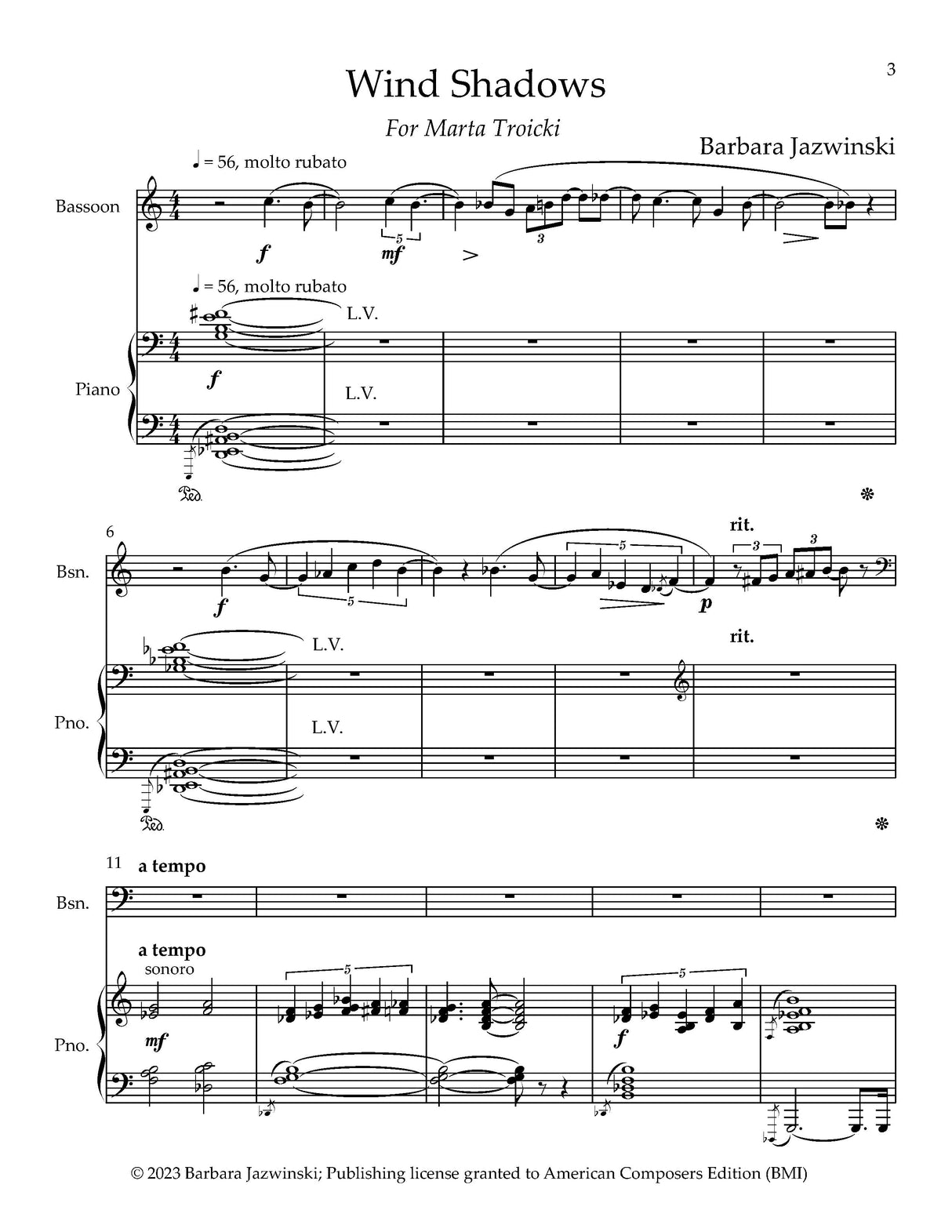 Jazwinski: Wind Shadows