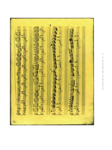 Chopin: Fantasia, Berceuse, and Barcarolle