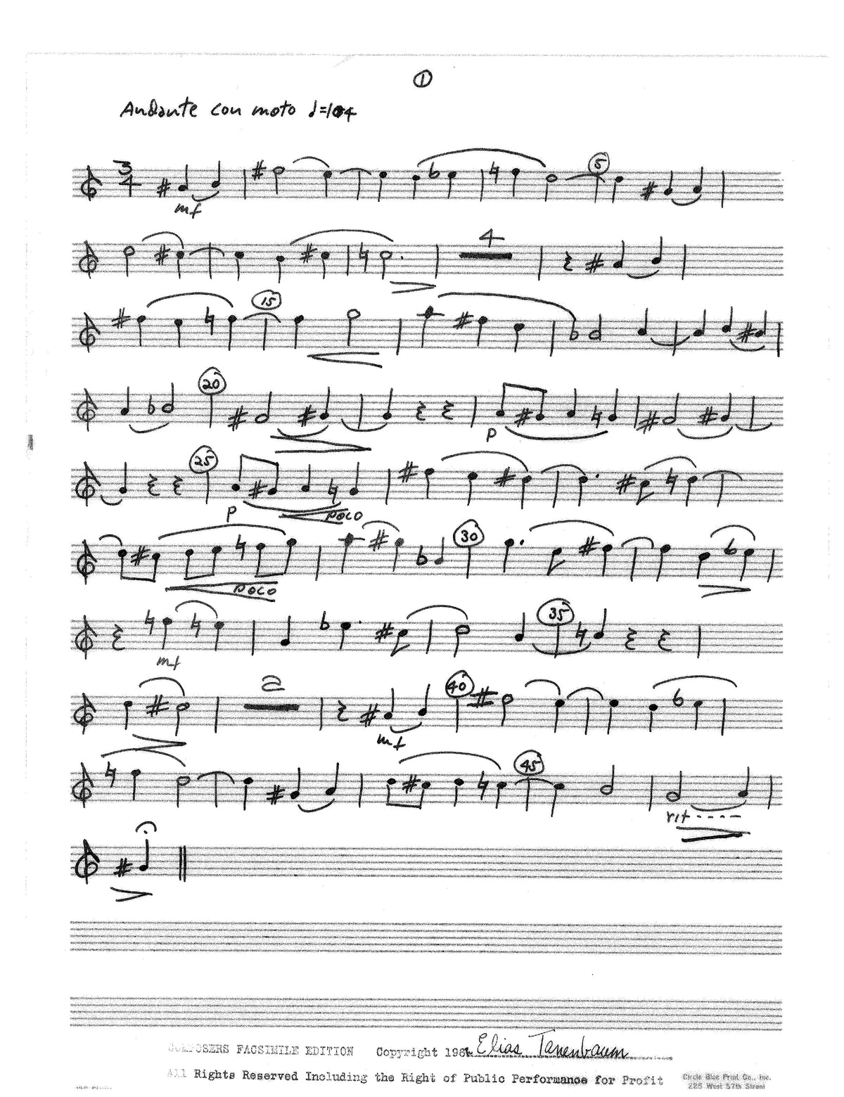 Tanenbaum: Andante & Allegro
