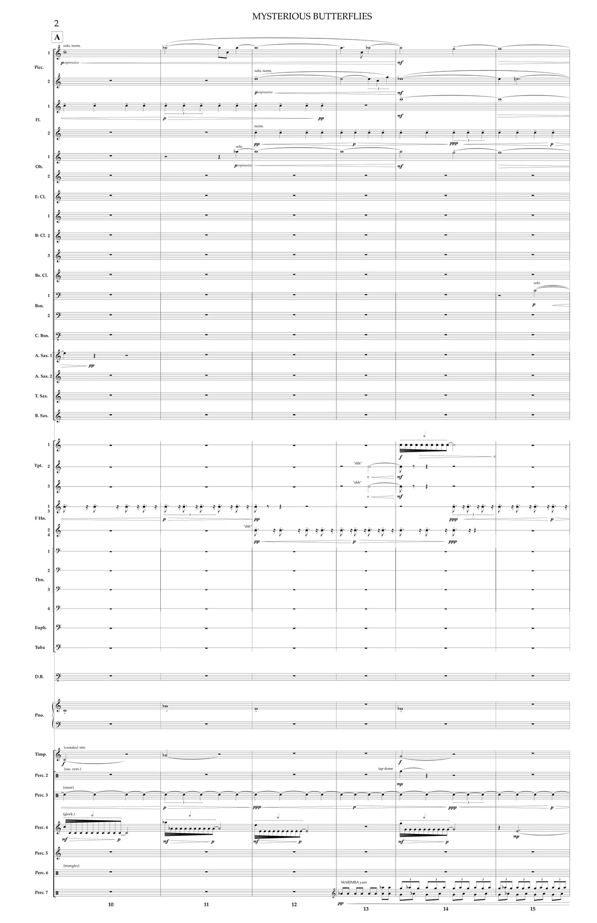 Lindveit: Mysterious Butterflies