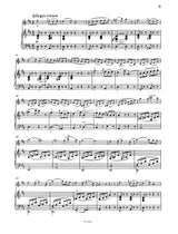 Schubert: Violin Sonatina in D Major, D 384, Op. 137, No. 1