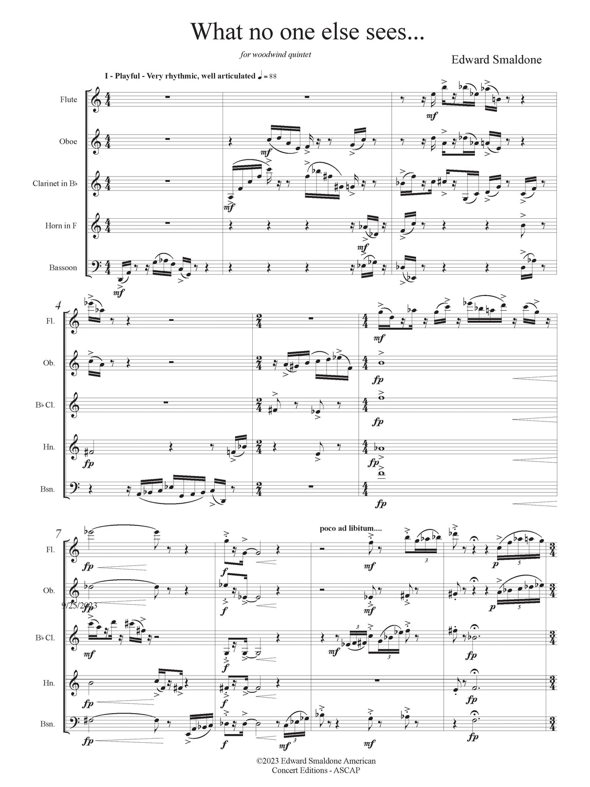 Smaldone: What No One Else Sees...