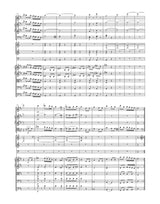 Haydn: Symphony in D Major, Hob. I:93