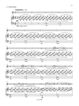 Igudesman: Violin Sonata No. 2