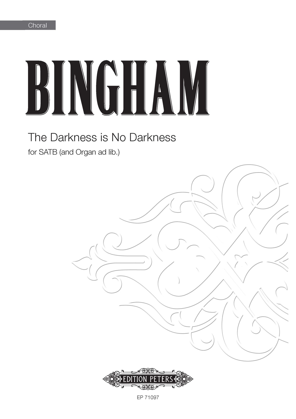 Bingham: The Darkness is No Darkness