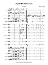 Stewart: Budding Rose Rag