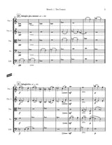Corpus: Breath (Version for String Orchestra)