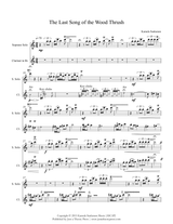 Sankaram: Last Song of the Wood Thrush