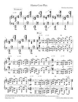 Kawashima: Hama-Con-Plex