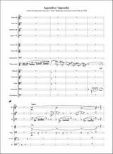 Briccialdi: Solo di concerto per flauto, Op. 71