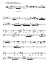 Bach: Flute Solos from the Sacred and Secular Vocal Works - Volume 2