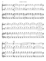 Steinke: One Foot in the Dark