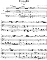 Flute Music - Volume 2