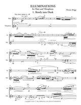 T. Briggs: Illuminations