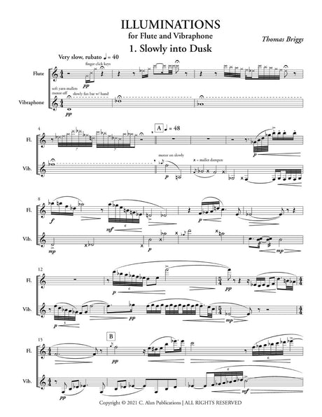 T. Briggs: Illuminations