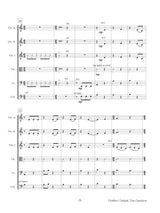 Davidson: Fiddlers' Delight