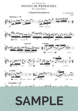 Brouwer: Sonata de Primavera