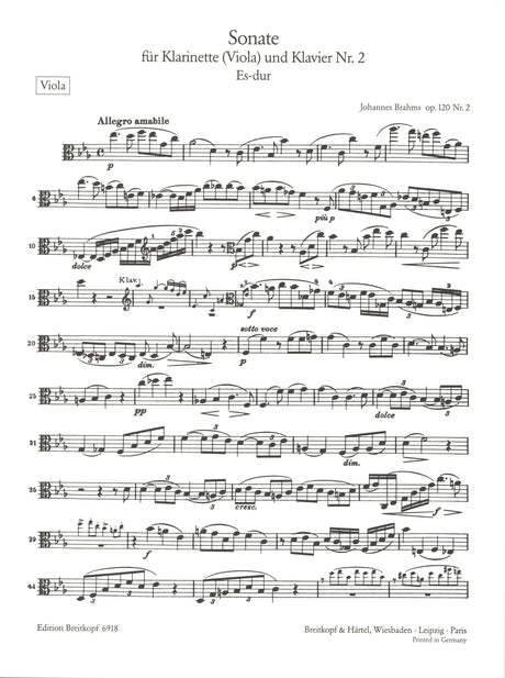 Brahms: Clarinet Sonata in E-flat Major, Op. 120, No. 2 (viola version)