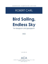 Carl: Bird Sailing, Endless Sky