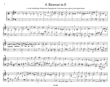 Steigleder: Ricercar Tabulatura - Volume 2