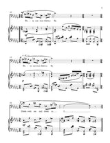 White: On a Fly Drinking From His Cup