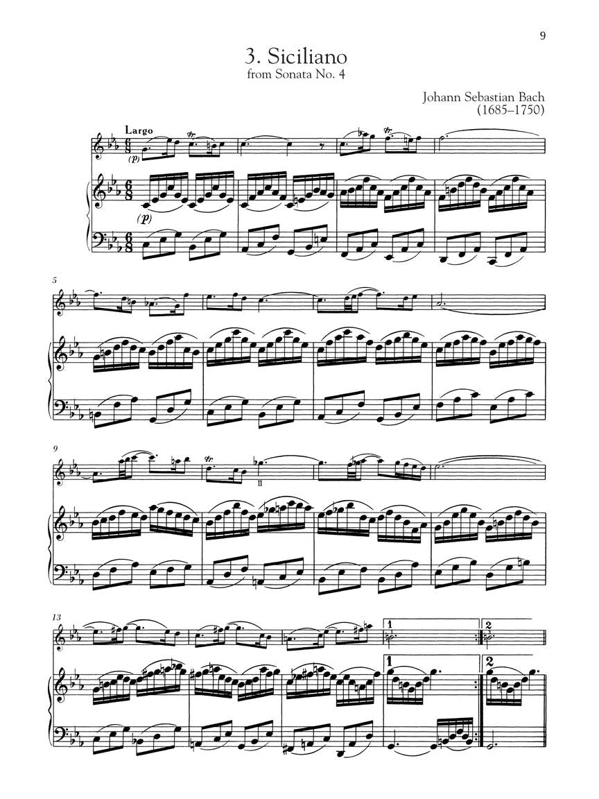 Solos for the Violin Player