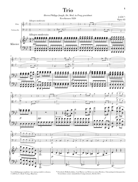 Weber: Trio in G Minor, Op. 63