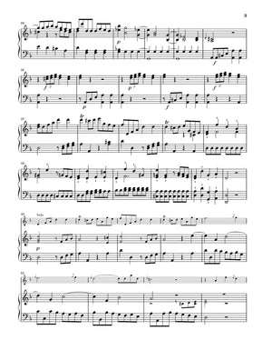 C.P.E. Bach: Flute Concerto in D Minor