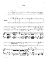 Smetana: Piano Trio in G Minor, Op. 15