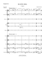 M. Bliss: Huatzu Hill