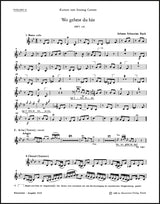 Bach: Wo gehest du hin?, BWV 166