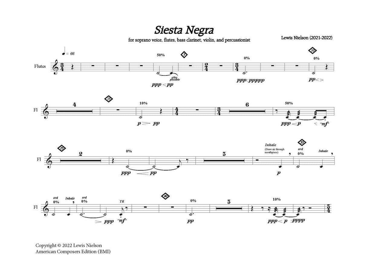 Nielson: Siesta Negra