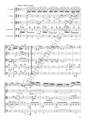 Boccherini: String Quintet in C Major, G378