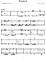 Roelstraete: Album for the Young, Op. 119