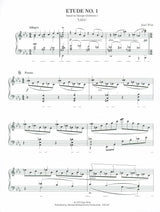 Wild: 7 Virtuoso Etudes based on Gershwin Songs