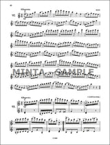 Violin Tutor - Volume 5