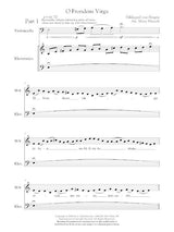 Mazzoli: O frondens virga