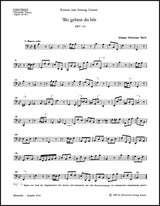 Bach: Wo gehest du hin?, BWV 166