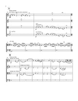 Wilson: Time Variations