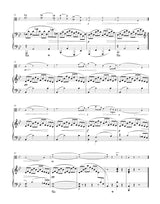 Dvořák: Romantic Pieces, Op. 75 (arr. for viola & piano)