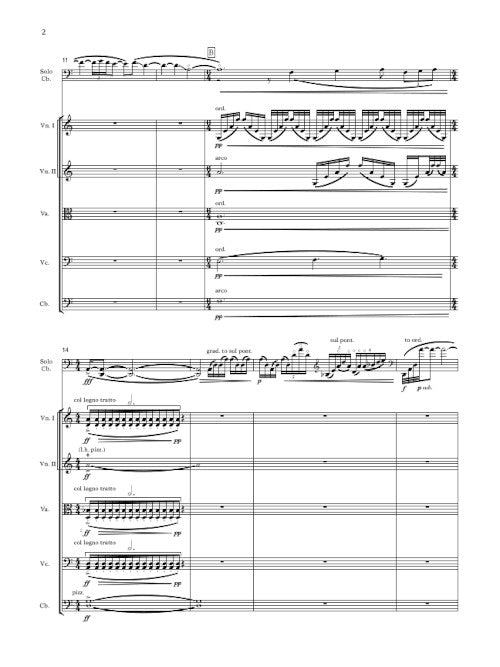 Mazzoli: Dark with Excessive Bright (Version for Contrabass & String Quintet)