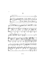 Damase: Flute Concerto