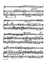 Wyner: Concert Duo