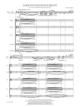 Mazzoli: Dark with Excessive Bright (Version for Contrabass & String Quintet)