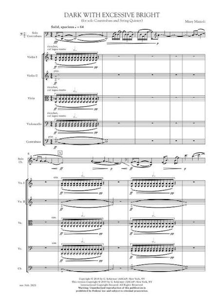 Mazzoli: Dark with Excessive Bright (Version for Contrabass & String Quintet)
